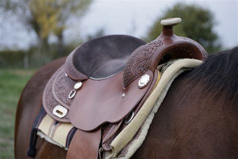 Small Saddle 5